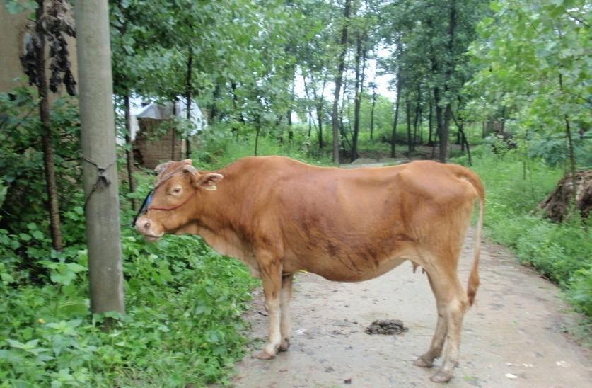 金华最新求一个套医保卡的黄牛是真的吗方法分析(最方便真实的金华求一个套医保卡的黄牛是真的吗还是假的方法)